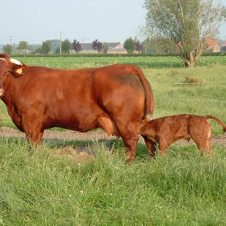 Hof Hullenhove Agroturismo *