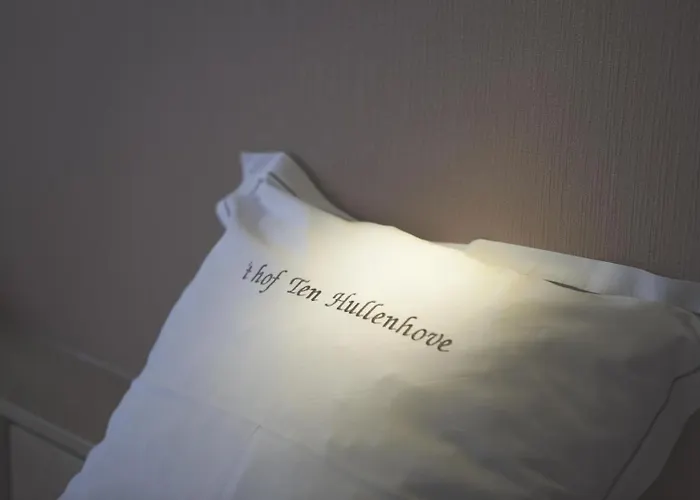 팜스테이 Hof Hullenhove *