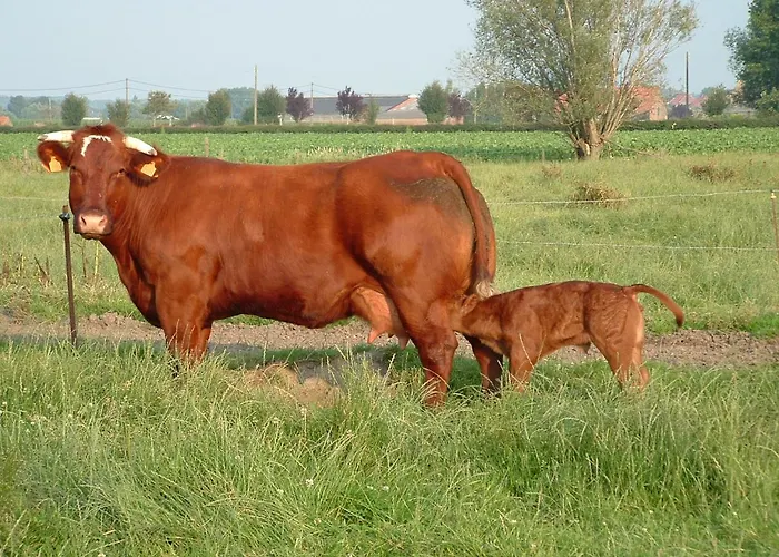 Hof Hullenhove Bauernhof *